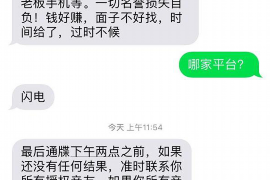 怒江企业清欠服务